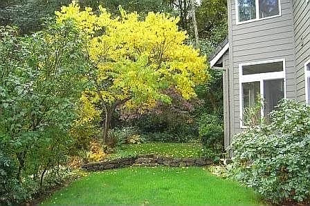 2269 Parkview Ct - Thumbnail 3