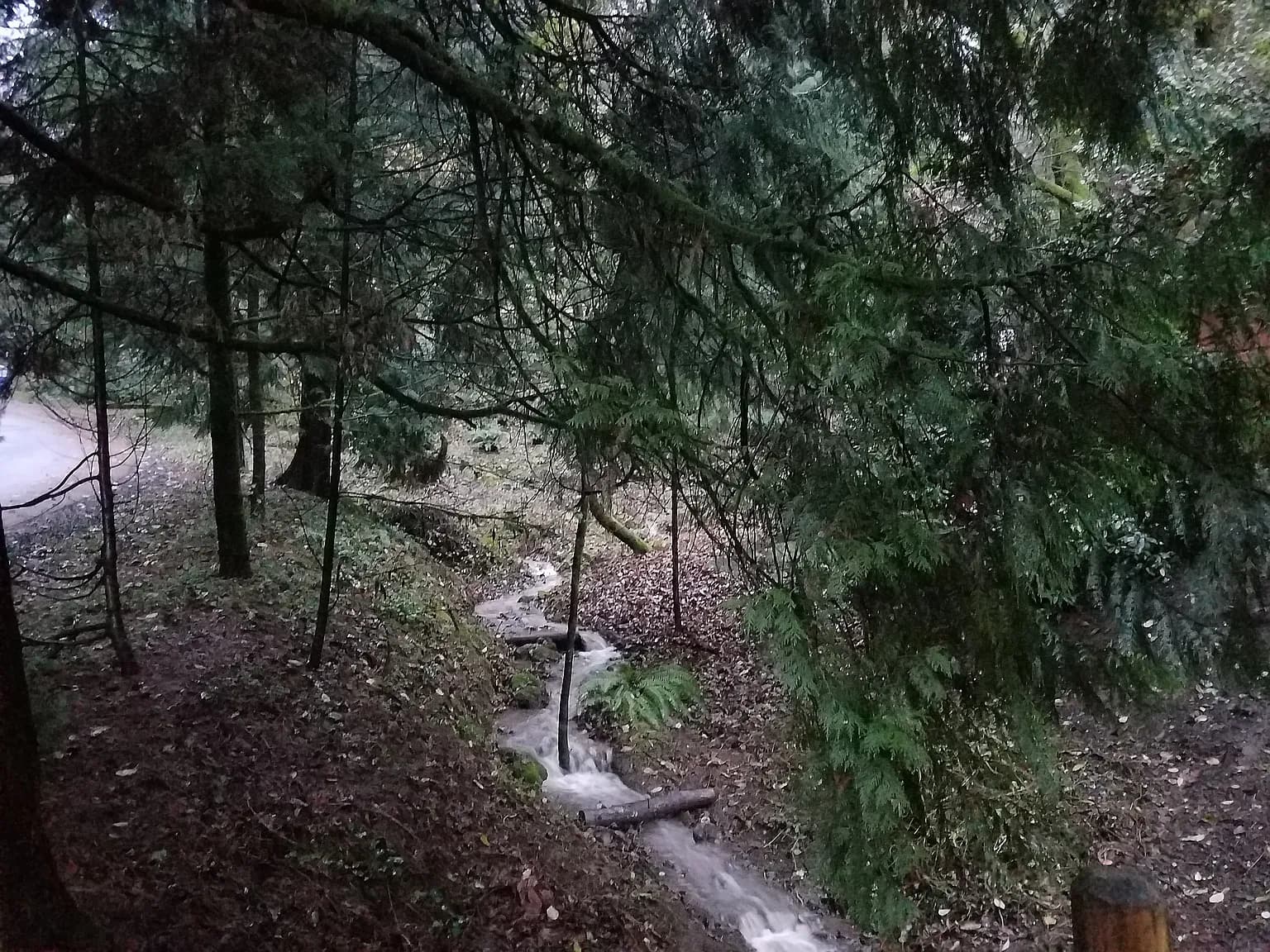 2453 Marylhurst Dr - Thumbnail 4