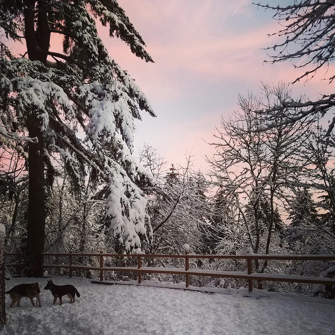 2453 Marylhurst Dr - Thumbnail 5