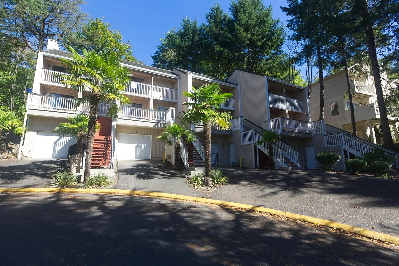 5 Erasmus St #5 - Thumbnail 2