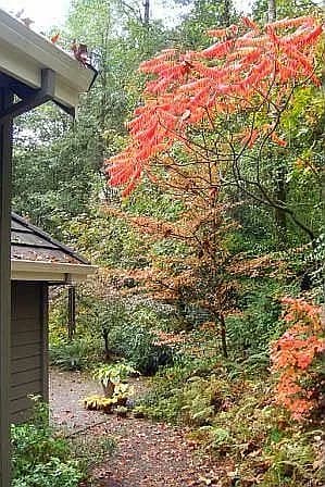 2269 Parkview Ct - Thumbnail 4