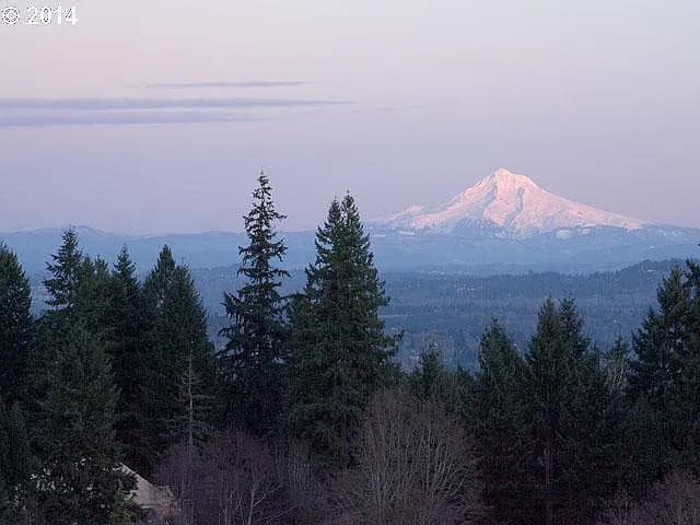 1609 Arran Ct - Thumbnail 2