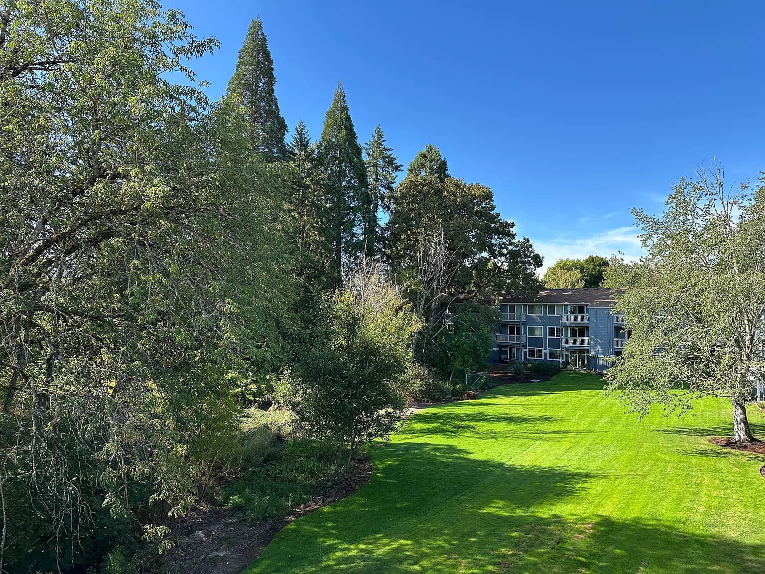 12425 NW Barnes Rd APT 78 - Thumbnail 6