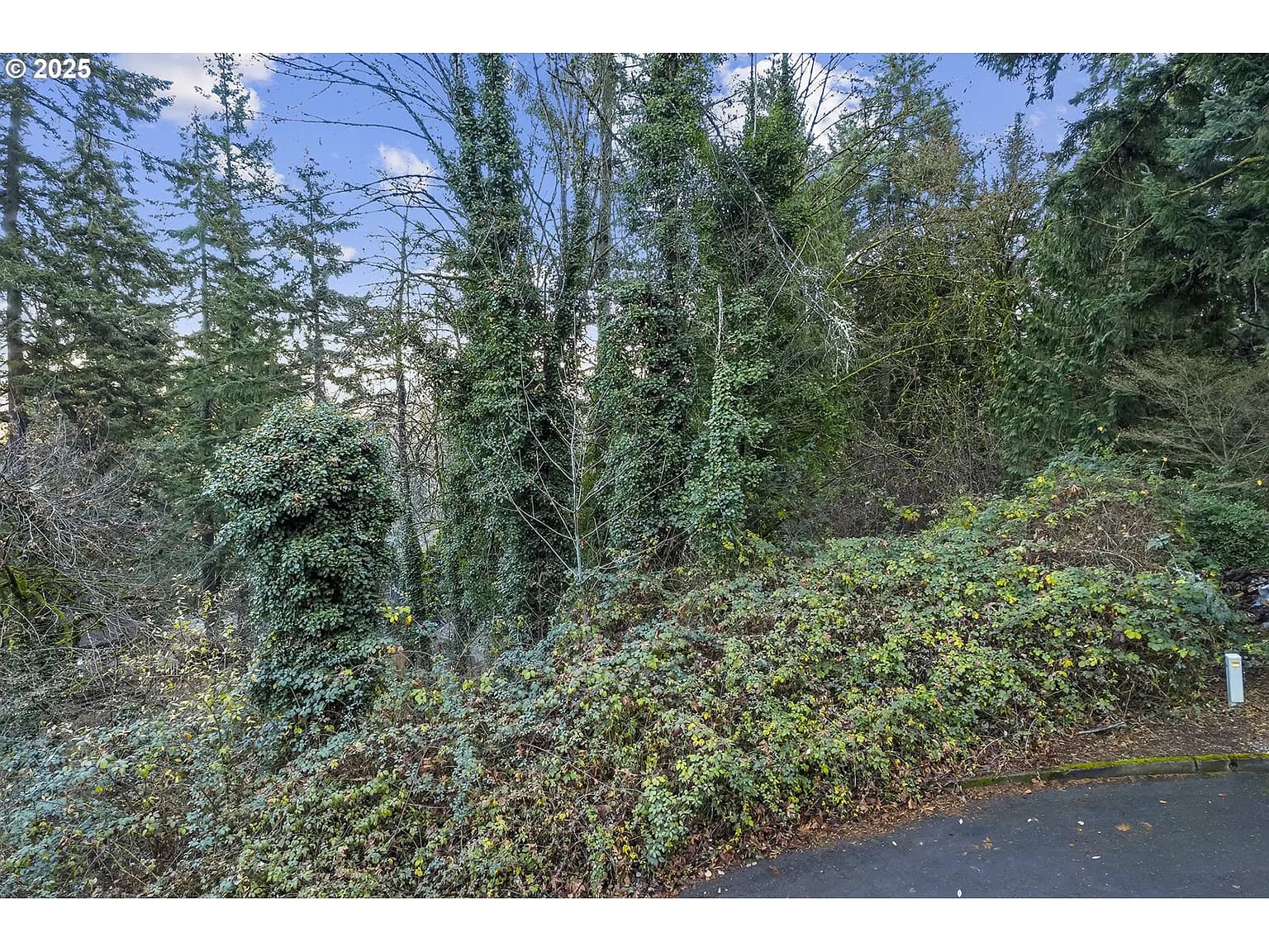 18520 Hillside Ct - Thumbnail 3