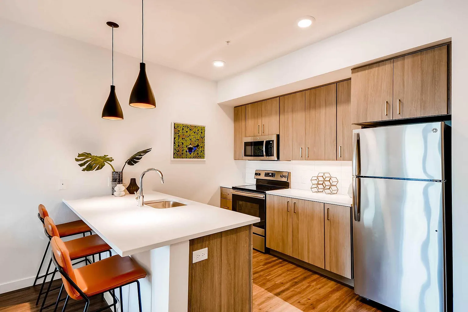 2005 N Williams Ave #60638