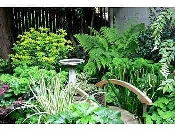 2918 SE 43rd Ave - Thumbnail 4