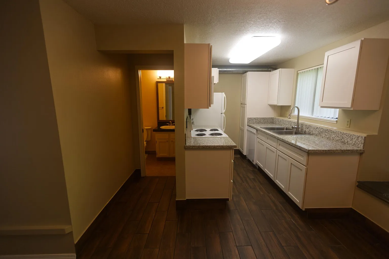 5 Erasmus St #5 - Thumbnail 5