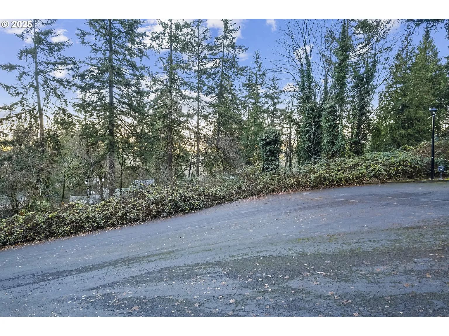 18520 Hillside Ct - Thumbnail 5