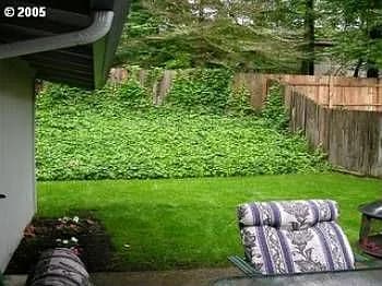 18369 Willamette Dr - Thumbnail 6